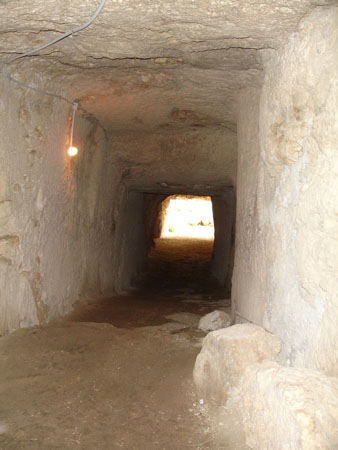 Foto Sicilia - 070