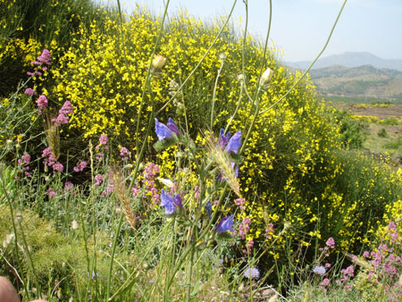 Foto Sicilia - 108