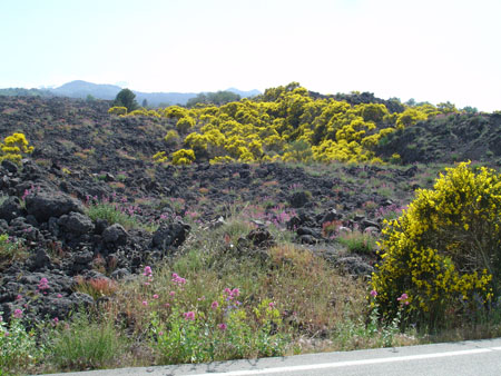 Foto Sicilia - 109