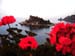 Foto Sicilia - 049