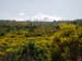 Foto Sicilia - 106