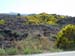 Foto Sicilia - 109